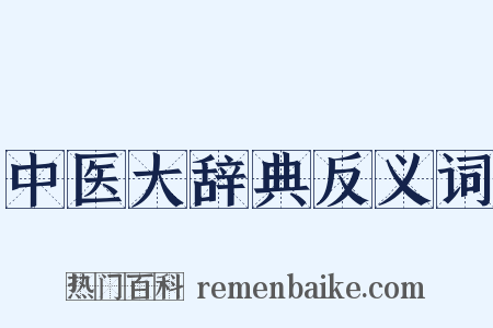 中医大辞典反义词是什么意思的图片
